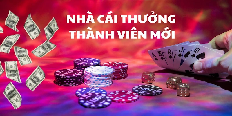 Khuyến Mãi 8XBET Dành Cho Thành Viên Mới